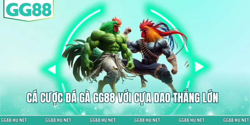 Cá cược đá gà GG88 với cựa dao thắng lớn