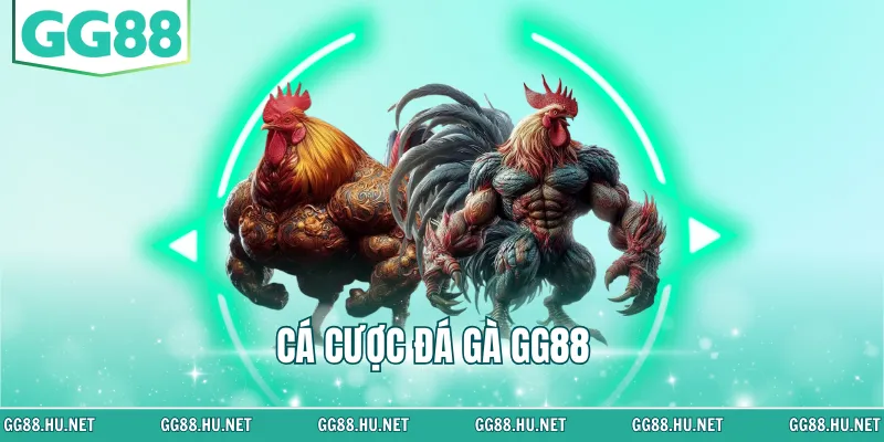 cá cược đá gà gg88