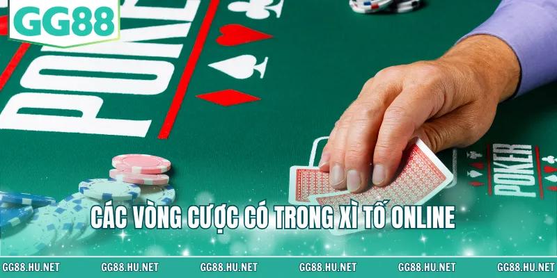 Các vòng cược có trong xì tố online