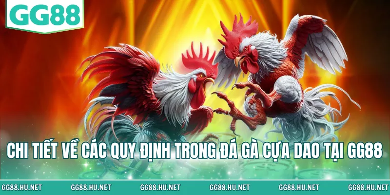 Chi tiết về các quy định trong đá gà cựa dao