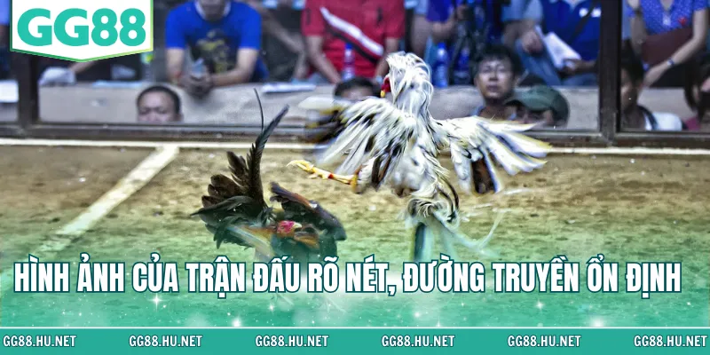 Hình ảnh của trận đấu rõ nét, đường truyền ổn định