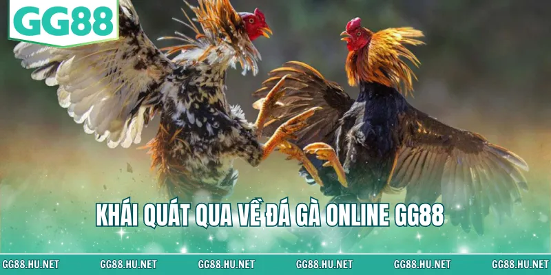 Khái quát qua về đá gà online GG88