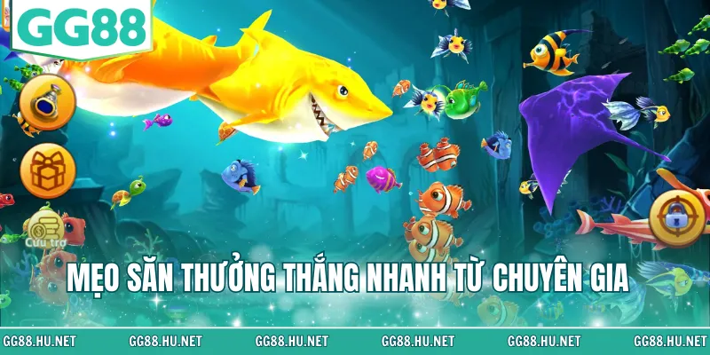 Mẹo săn thưởng thắng nhanh từ chuyên gia